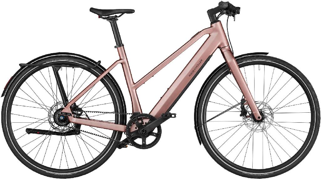 Riese & Müller UBN Seven silent