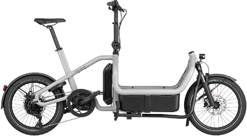 Riese & Müller Carrie