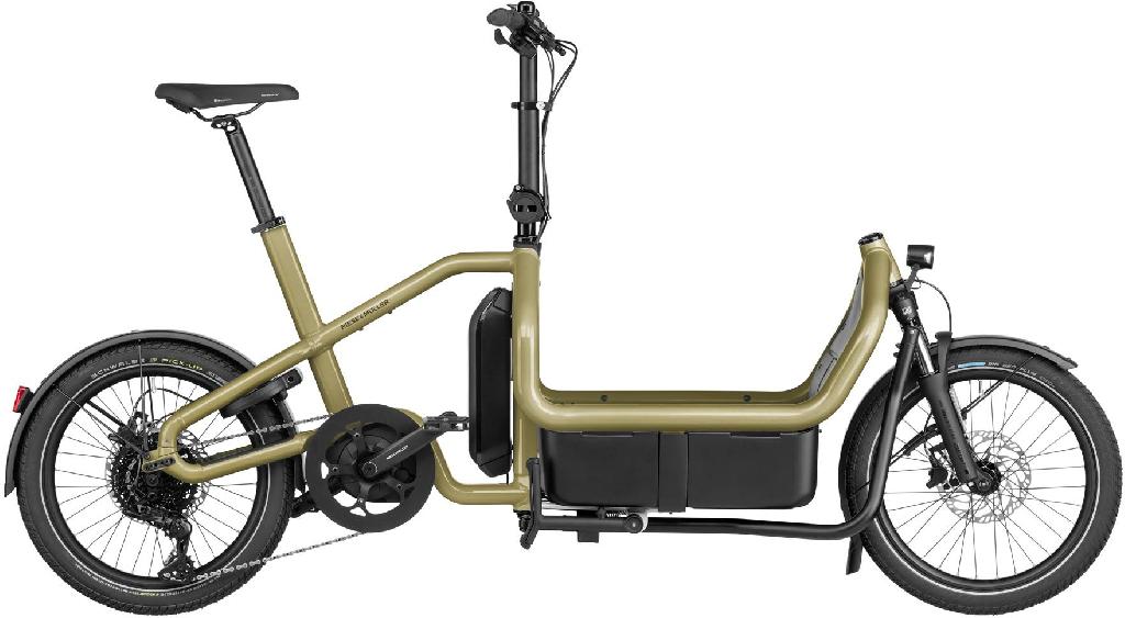 Riese & Müller Carrie touring