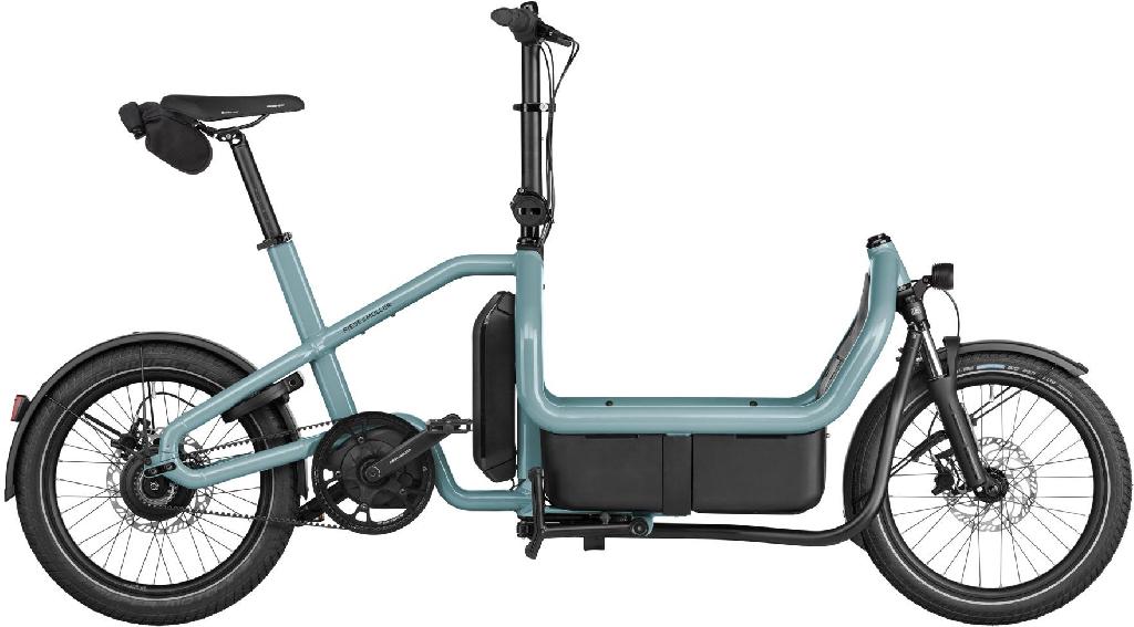 Riese & Müller Carrie2 vario