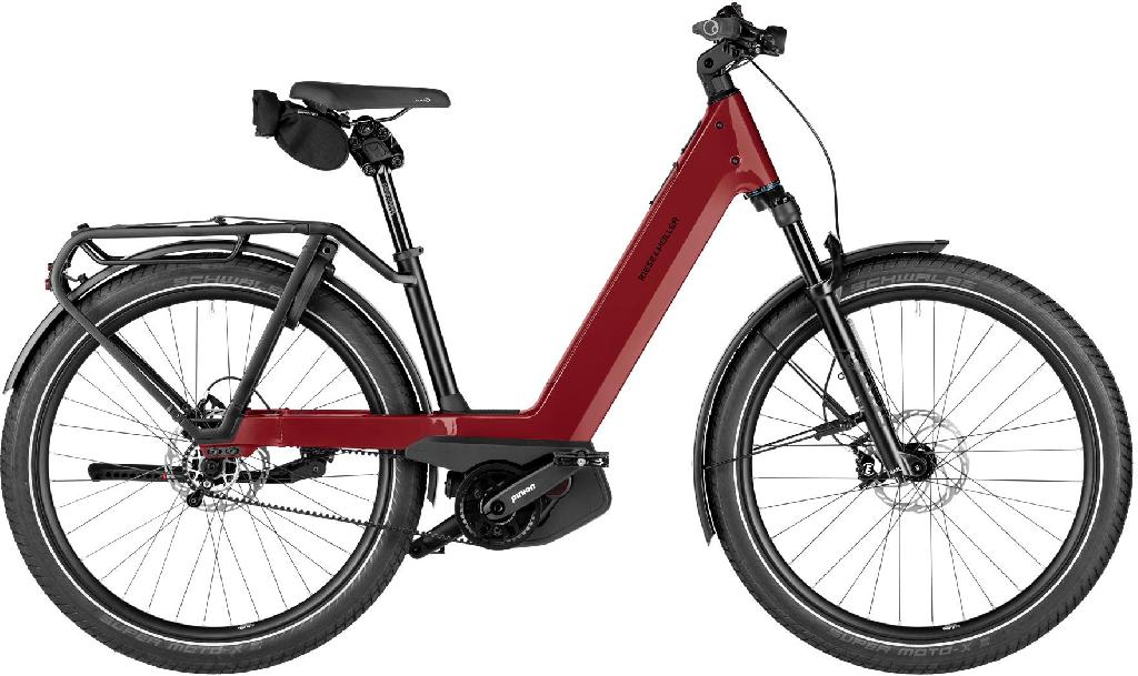 Riese & Müller Nevo5 pinion