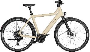 Riese & Müller Culture touring