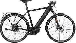 Riese & Müller Roadster4 vario HS