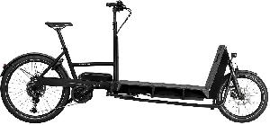 Riese & Müller Transporter