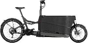 Riese & Müller Packster2 70 CT touring