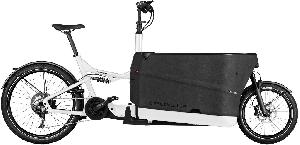 Riese & Müller Packster2 70 CT touring