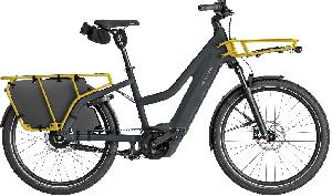 Riese & Müller Multicharger3 Mixte vario