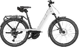 Riese & Müller Nevo5 touring