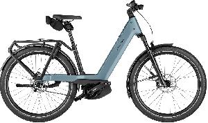 Riese & Müller Nevo5 pinion