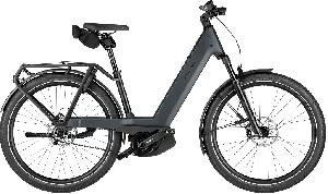 Riese & Müller Nevo5 pinion