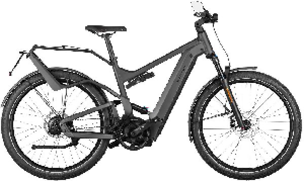 Riese & Müller Delite4 GT rohloff HS