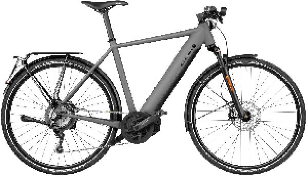 Riese & Müller Roadster4 touring HS