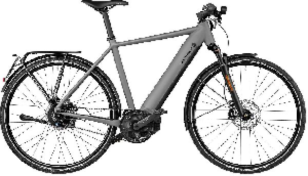 Riese & Müller Roadster4 vario HS