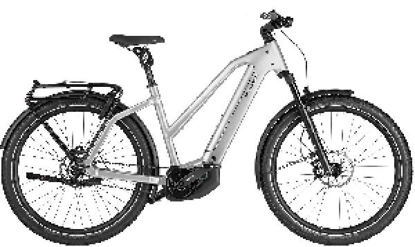 Riese & Müller Charger5 Mixte pinion