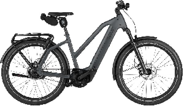 Riese & Müller Charger5 Mixte rohloff