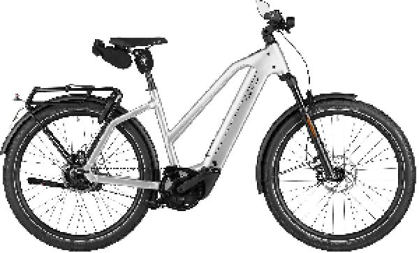 Riese & Müller Charger5 Mixte rohloff HS