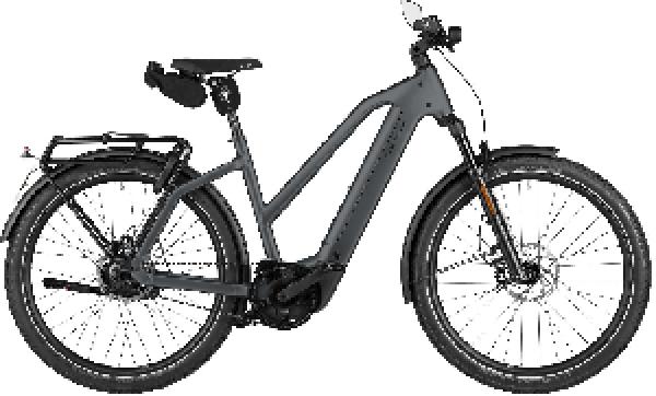 Riese & Müller Charger5 Mixte rohloff HS