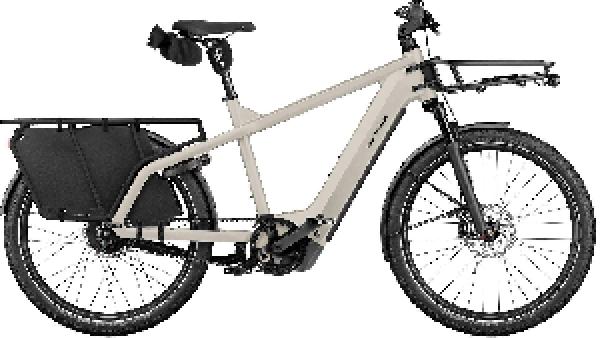 Riese & Müller Multicharger3 vario